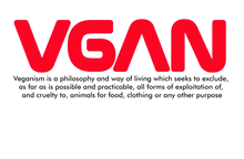 Load image into Gallery viewer, VGAN UNISEX PULLOVER HOODIE with TEXT