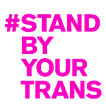 Load image into Gallery viewer, Stand By Your Trans Tees