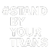 Load image into Gallery viewer, Stand By Your Trans Tees